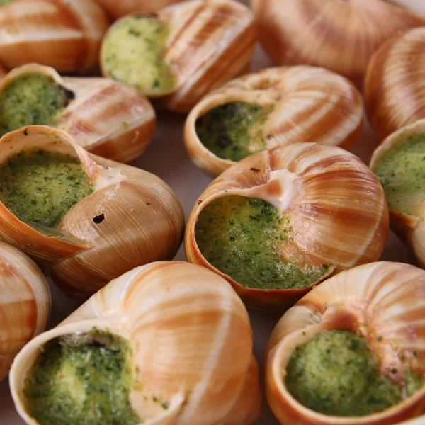 stock image Bourgogno snails