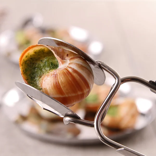 Löffel mit Bourgogne Schnecke — Stockfoto