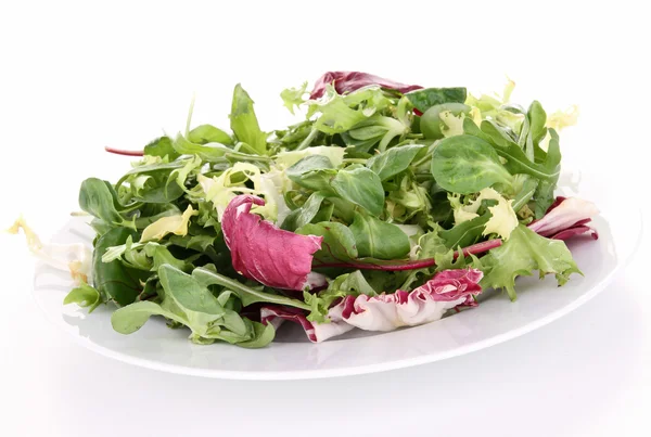 Assiette isolée de salade — Photo