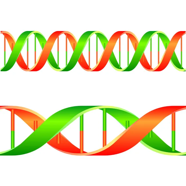 ДНК-строка — стоковый вектор