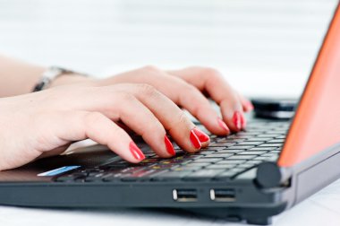 Woman hands on the keyboard clipart