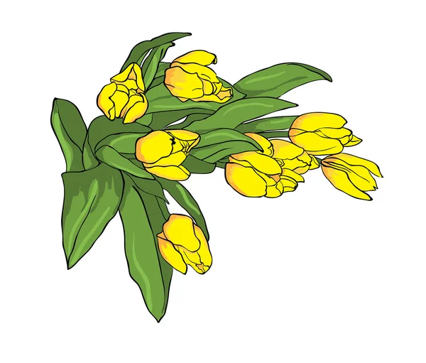 Tulipany wektor żółty — Wektor stockowy