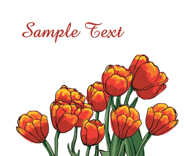 Vector tulipanes rojos — Vector de stock