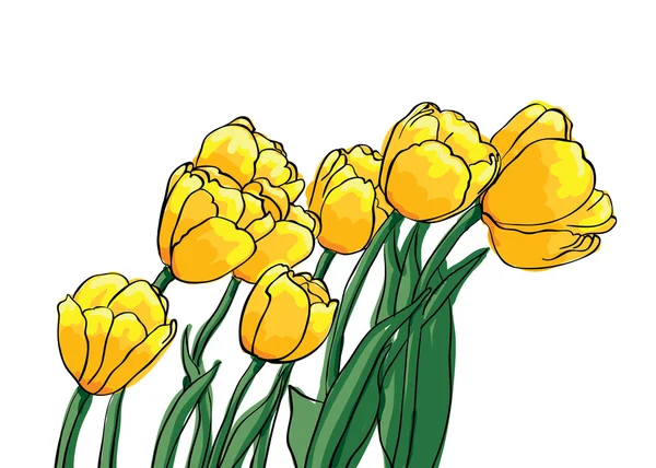Tulipany wektor żółty — Wektor stockowy