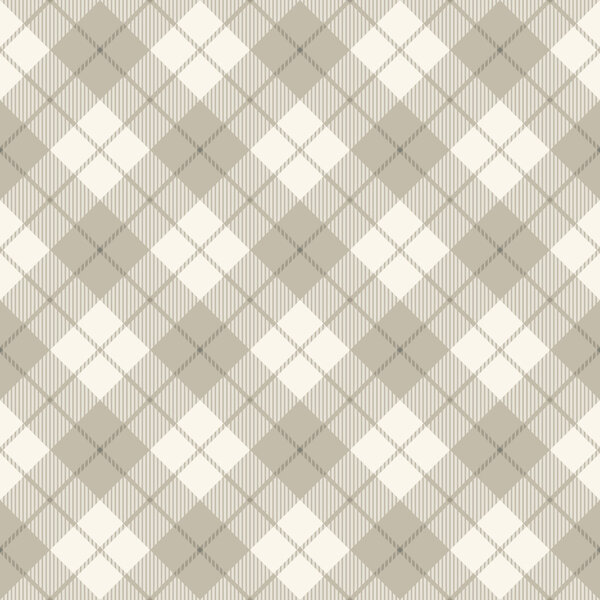 Abstract scottish diagonal plaid concept
