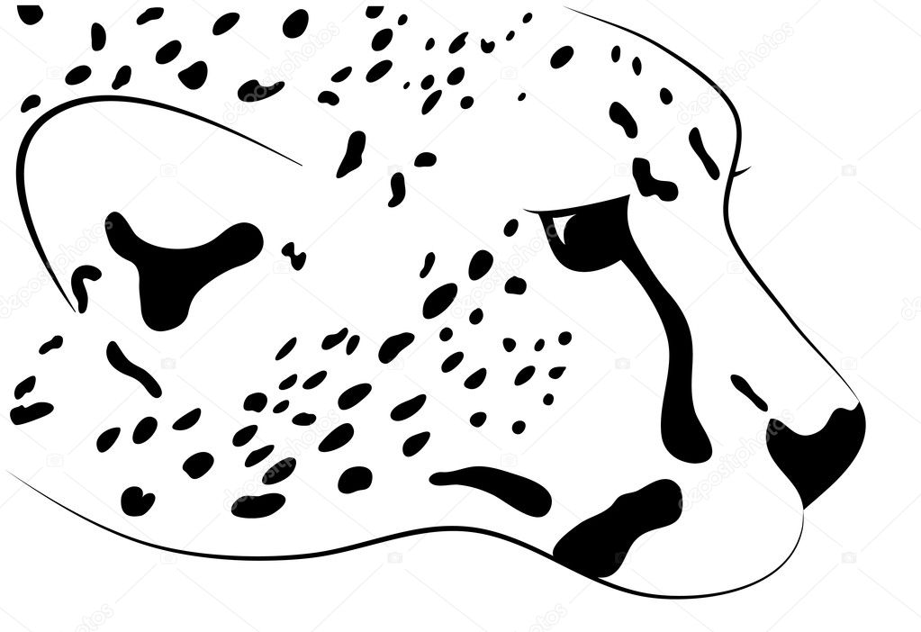 Silhouette of a head cheetah