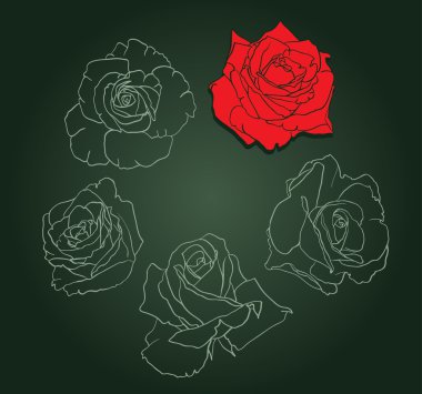 Five roses clipart