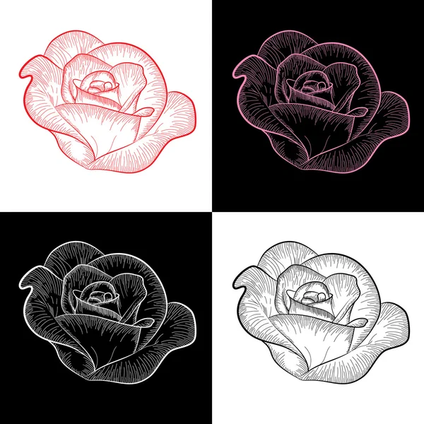 Четыре розы — стоковый вектор