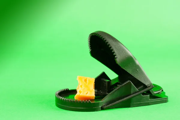 Czarny plastik pułapka na myszy z przynęty — Zdjęcie stockowe