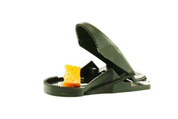 Black plastic mousetrap with bait — Stock Photo, Image