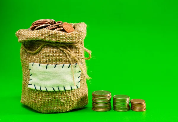 Sack and row of coins — Stock Photo, Image