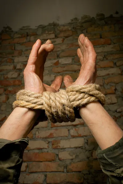 Hands of man tied up with rope — Stock Photo, Image
