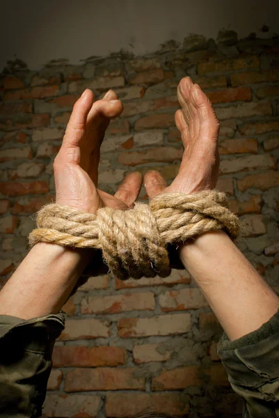 stock image Hands of man tied up with rope