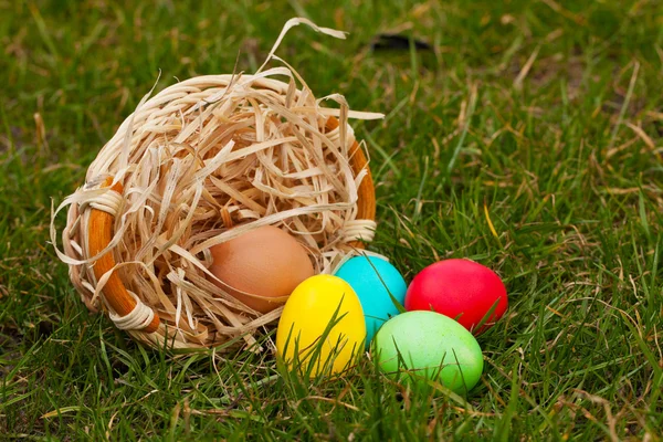 Cesta com os ovos de Páscoa coloridos — Fotografia de Stock