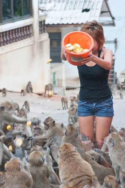 Mulher dar macacos de comida — Fotografia de Stock