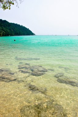 Surin Adası Milli Parkı