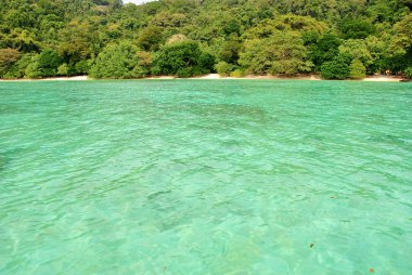 Surin Adası Milli Parkı