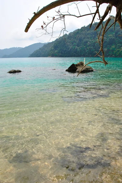 Park narodowy wyspy Surin — Zdjęcie stockowe