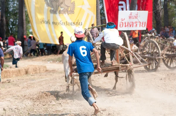 Festival de carreras de carretas de vaca en Tailandia — Foto de Stock