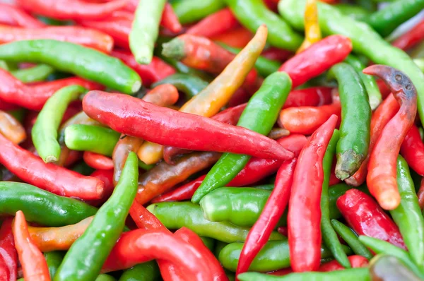 stock image Group of Chilli