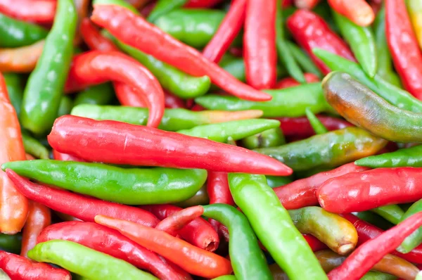 stock image Group of Chilli