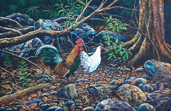 红原鸡在森林里 — 图库照片