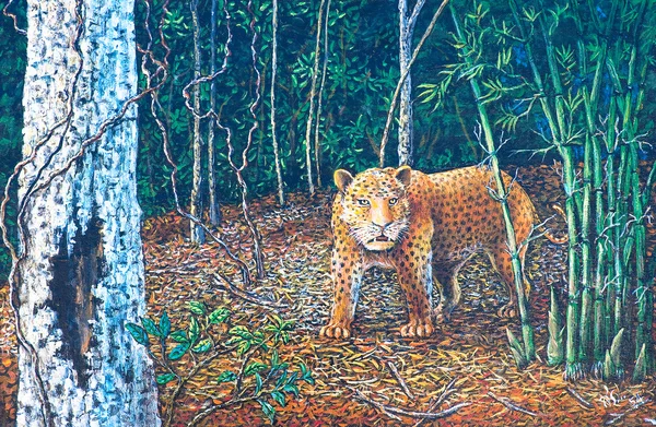 Gran leopardo en el bosque — Foto de Stock