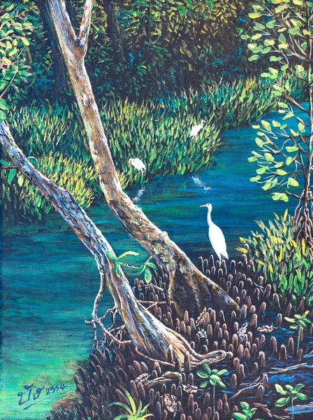 Egret i mangroveskogen — Stockfoto