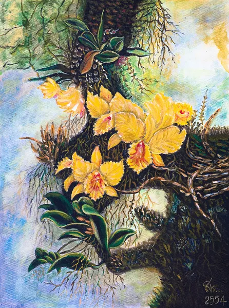 Orquídeas del bosque amarillo — Foto de Stock