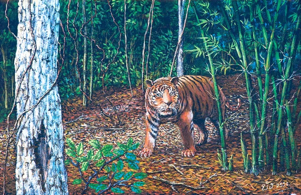 stock image Tiger in the forest