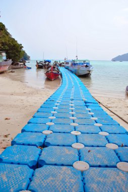 Surin Adası Milli Parkı