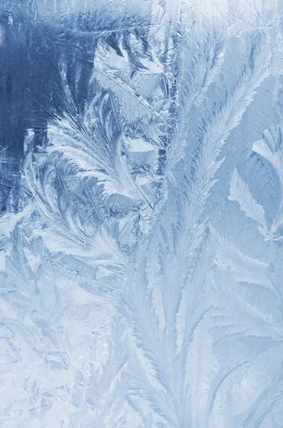 Frozen window Stock Picture