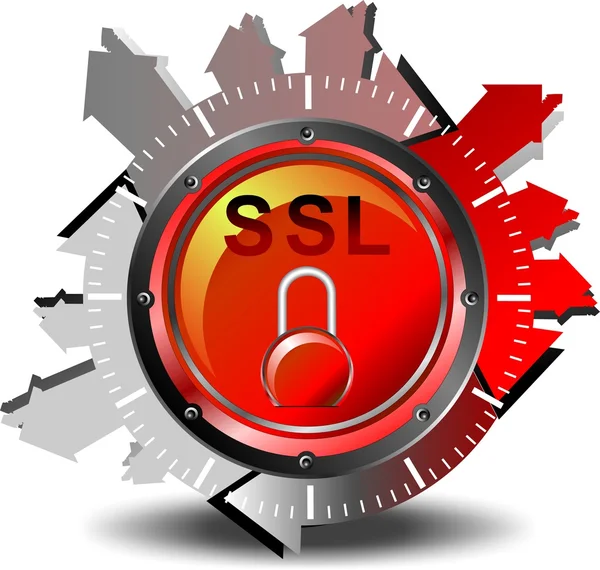 SSL - การรักษาความปลอดภัย — ภาพเวกเตอร์สต็อก