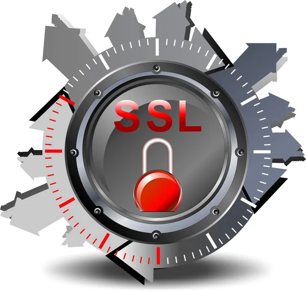 SSL - Seguridad — Vector de stock