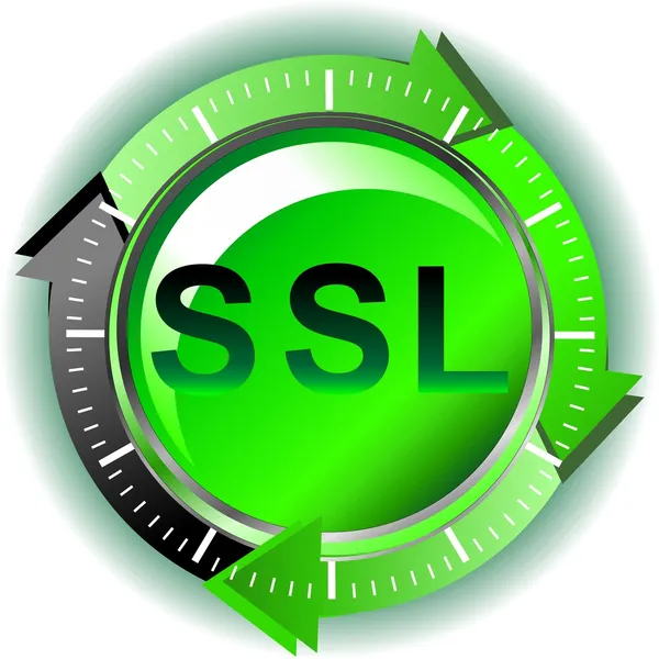 SSL - безпеки — стоковий вектор