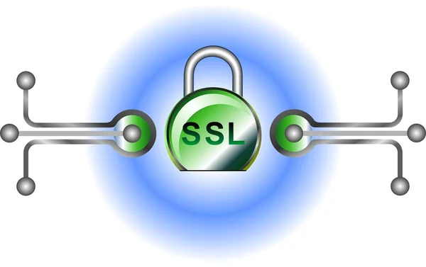 SSL - Segurança — Vetor de Stock