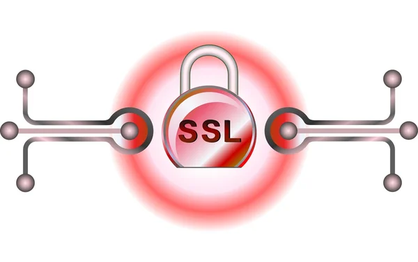 SSL - безпеки — стоковий вектор