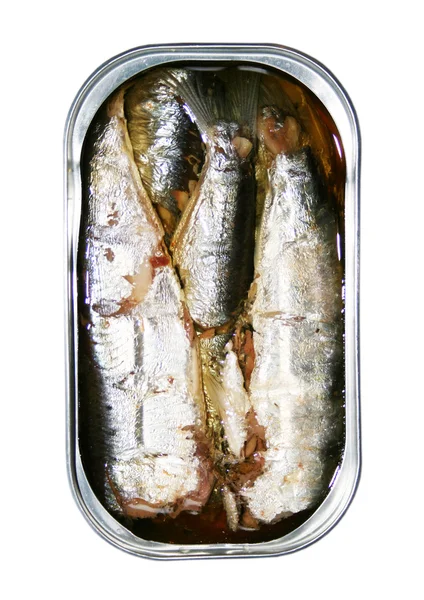 Konzervované sardinky — Stock fotografie