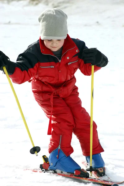 stock image Little skier