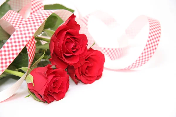 Geschenkperle auf Rosenblättern — Stockfoto