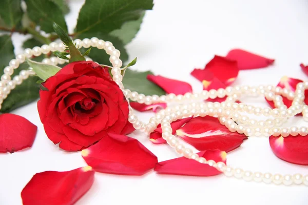 Presente Valentine Imagens Royalty-Free