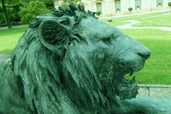 Bronze statue lion — Stock Photo, Image