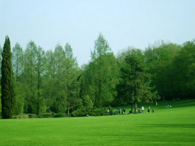 in the park. Picnic. clipart