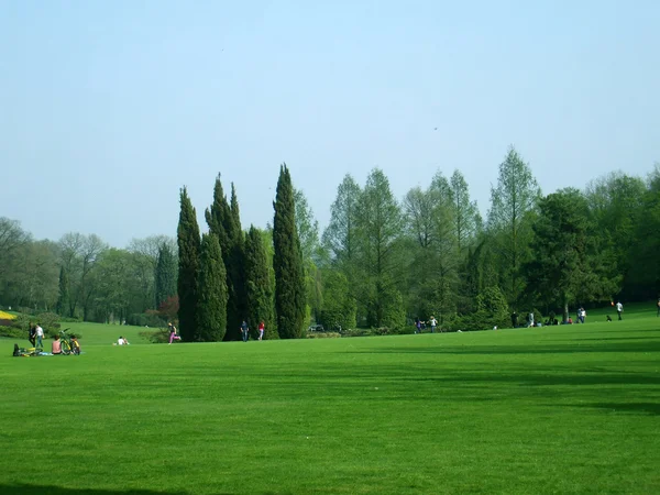 W parku. piknik. — Zdjęcie stockowe