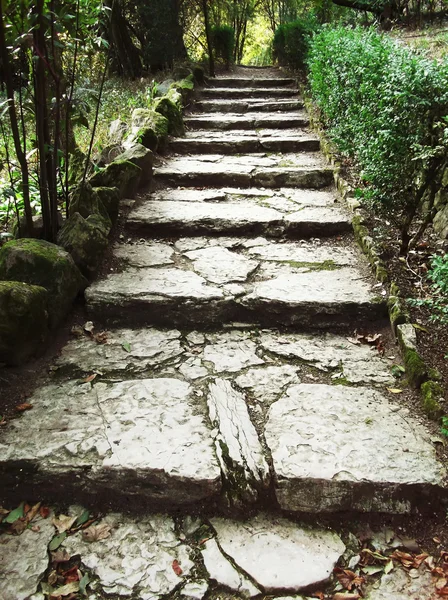 Antiguas escaleras de piedra —  Fotos de Stock