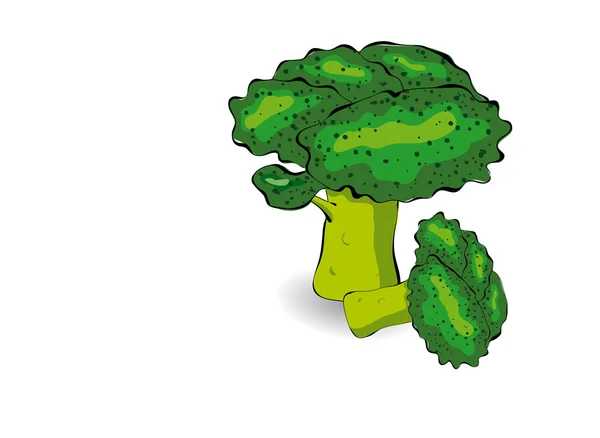 Légumes frais. Brocoli — Image vectorielle