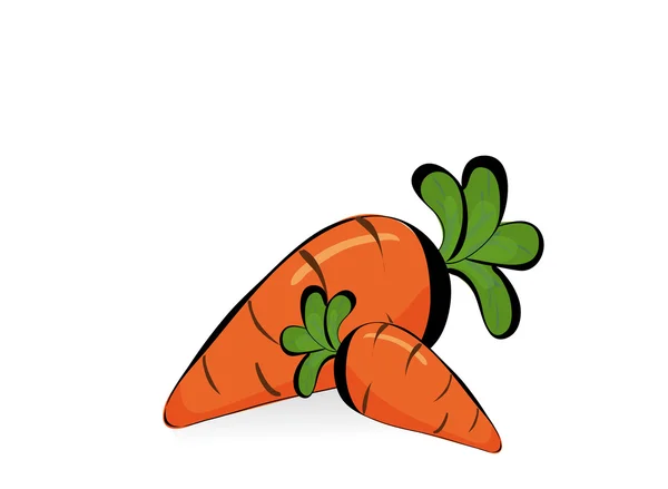 Verse groenten wortelen. — Stockvector