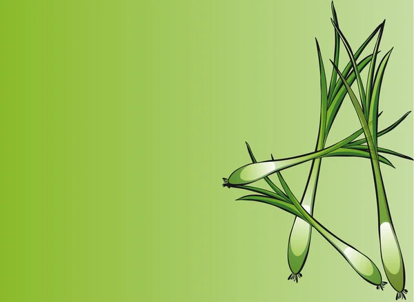 Oignon vert — Image vectorielle