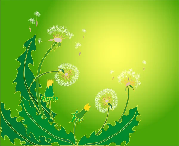 Beautiful dandelions — Stock Vector