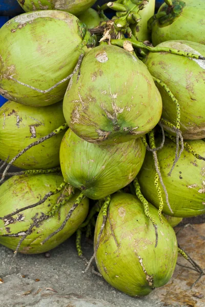 Stock image Coconuts  fruits